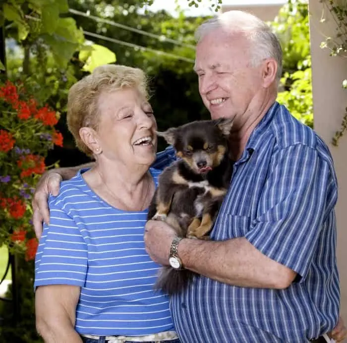 Happy elderly couple holding a Chihuahua standing outside.