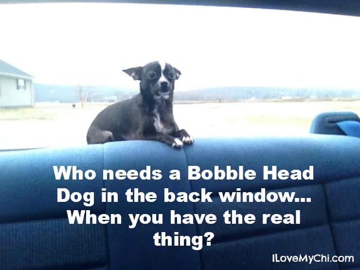 Bobble head