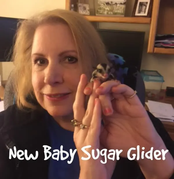 Cathy and Sugar Glider Baby