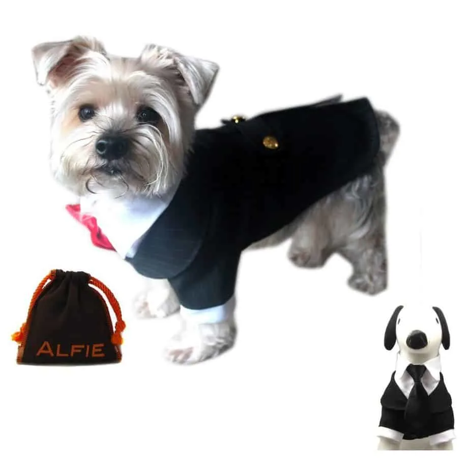 tuxedo for dogs