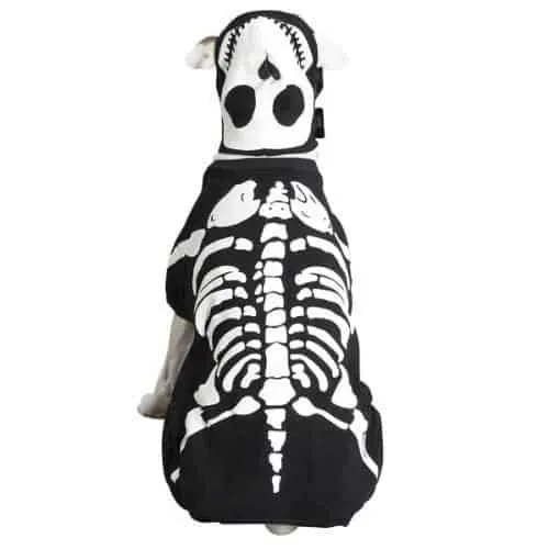 bones costume for dogs
