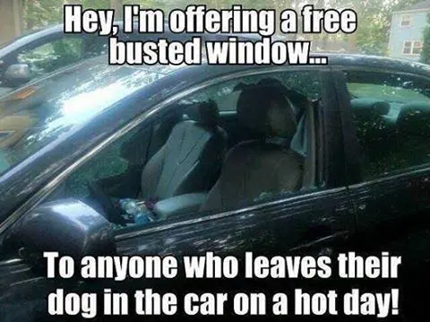 busted window