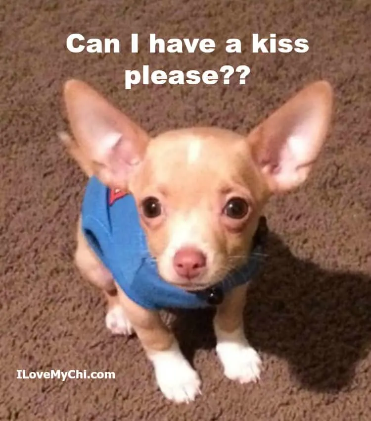 can I have a kiss