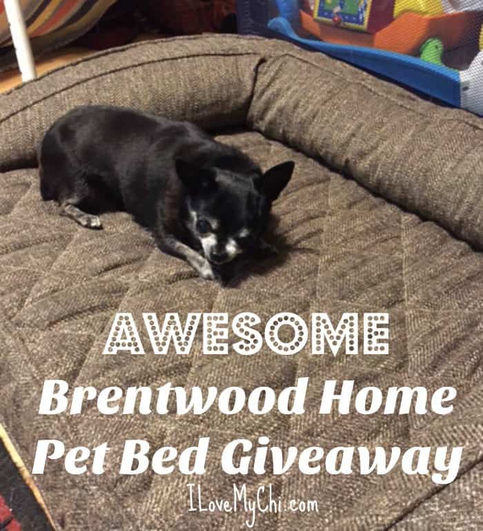 awesome-brentwood-home-pet-bed-giveaway