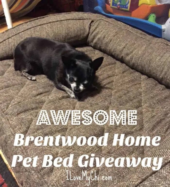 Brentwood home dog clearance bed