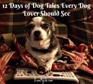 12 Days of Dog Tales Every Dog Lover Should See