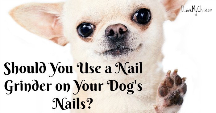 chi dog nail clippers