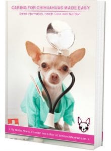 Great Chihuahua Ebook from Famous Chihuahua