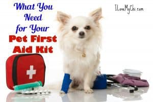 What You Need for Your Pet First Aid Kit