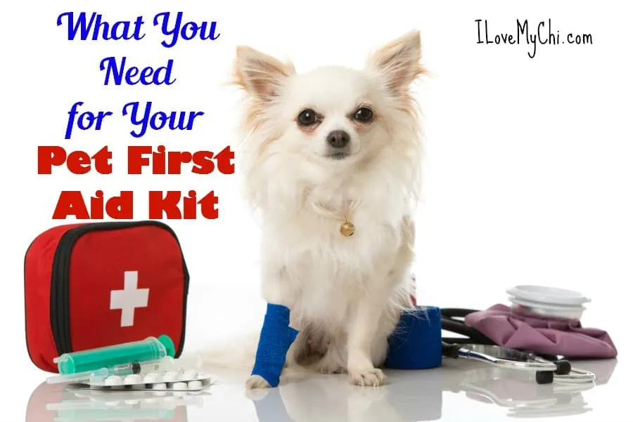 What You Need for Your Pet First Aid Kit - I Love My Chi