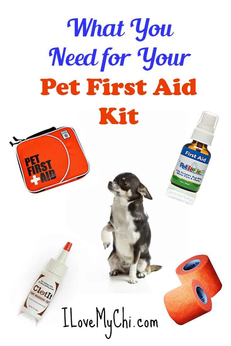 Are you prepared to help your pet if they get sick or hurt? Having a first aid kit for your pet is something all pet owners should have in their home.