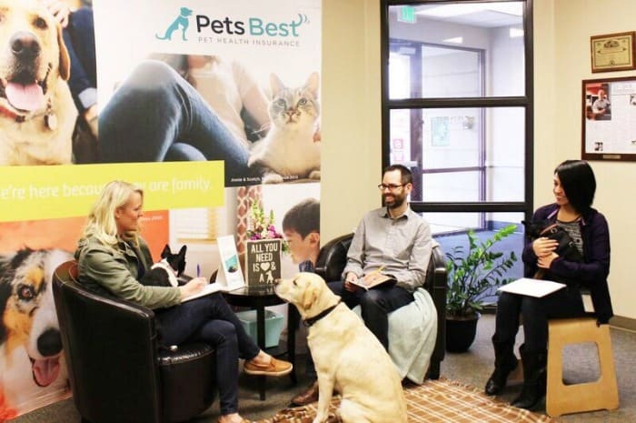 Pets Best dog friendly office