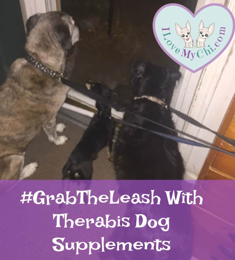 #GrabtheLeash with therabis dog supplemnts