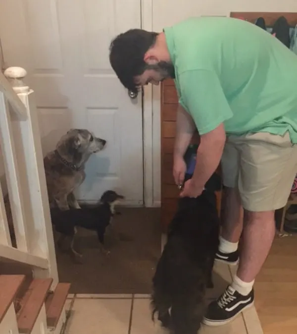 Ryan getting the dogs ready for their walk