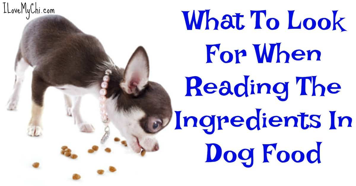 What To Look For When Reading The Ingredients In Dog Food