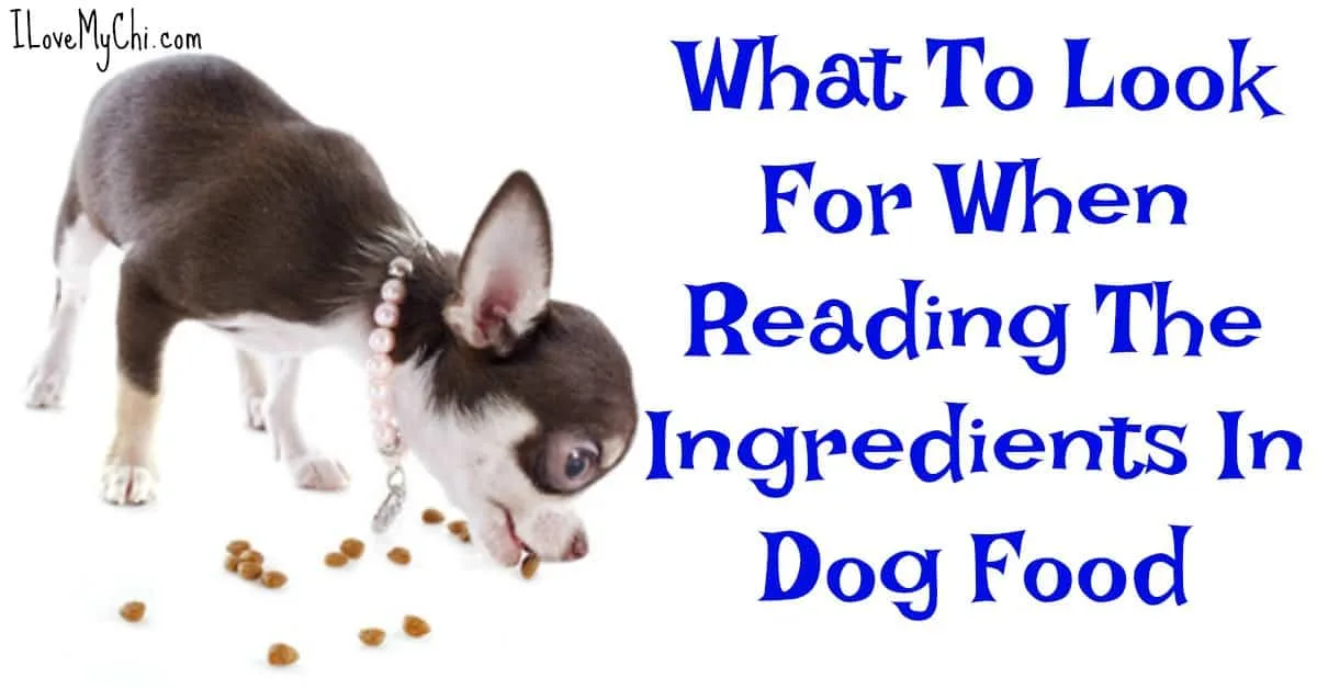 What To Look For When Reading The Ingredients In Dog Food I Love