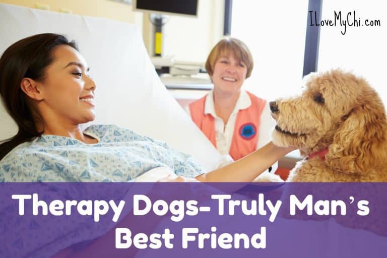 Therapy Dog visiting woman at hospital