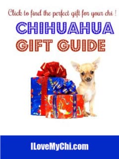 several wrapped gifts with chihuahua sitting beside them