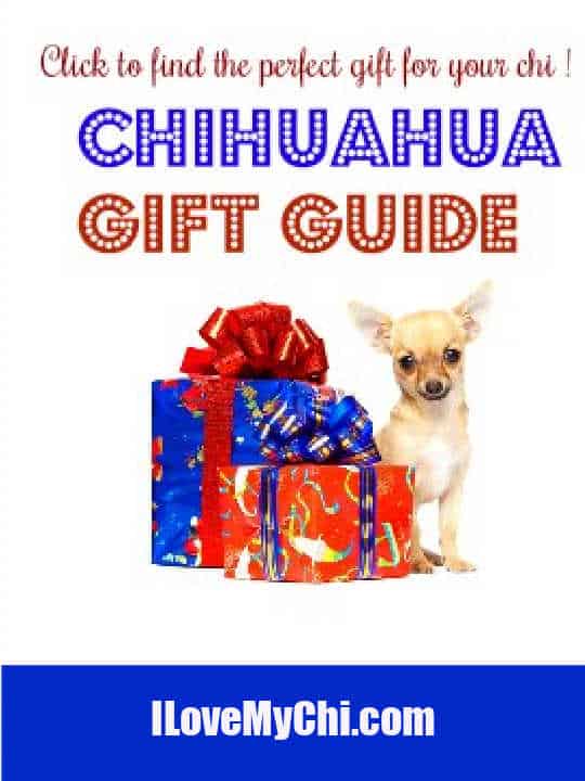 gifts for chihuahua owners