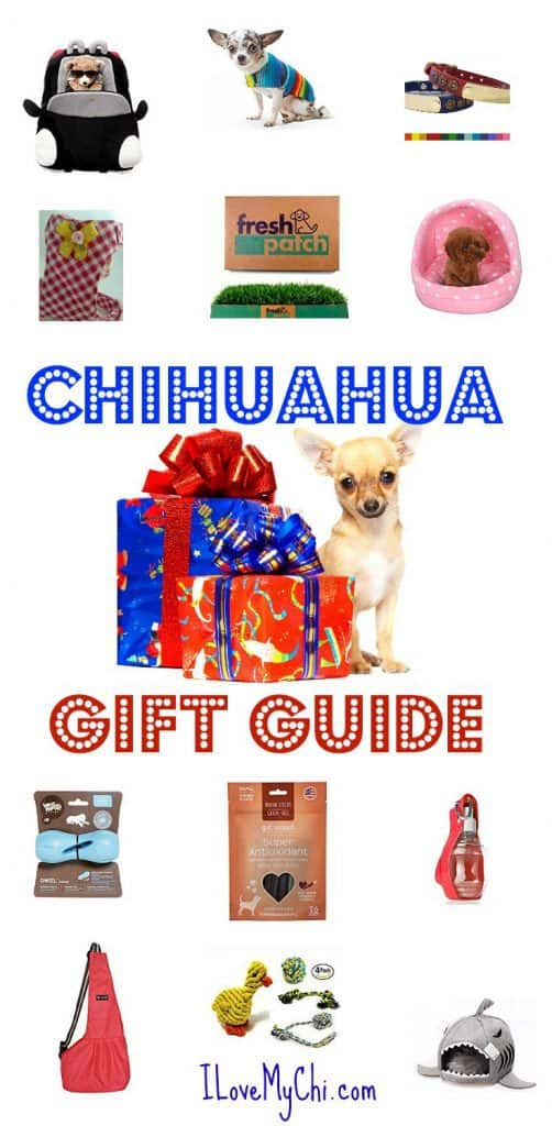 fawn chihuahua next to gift boxes