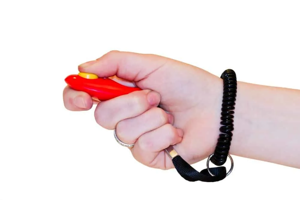 hand holding dog clicker