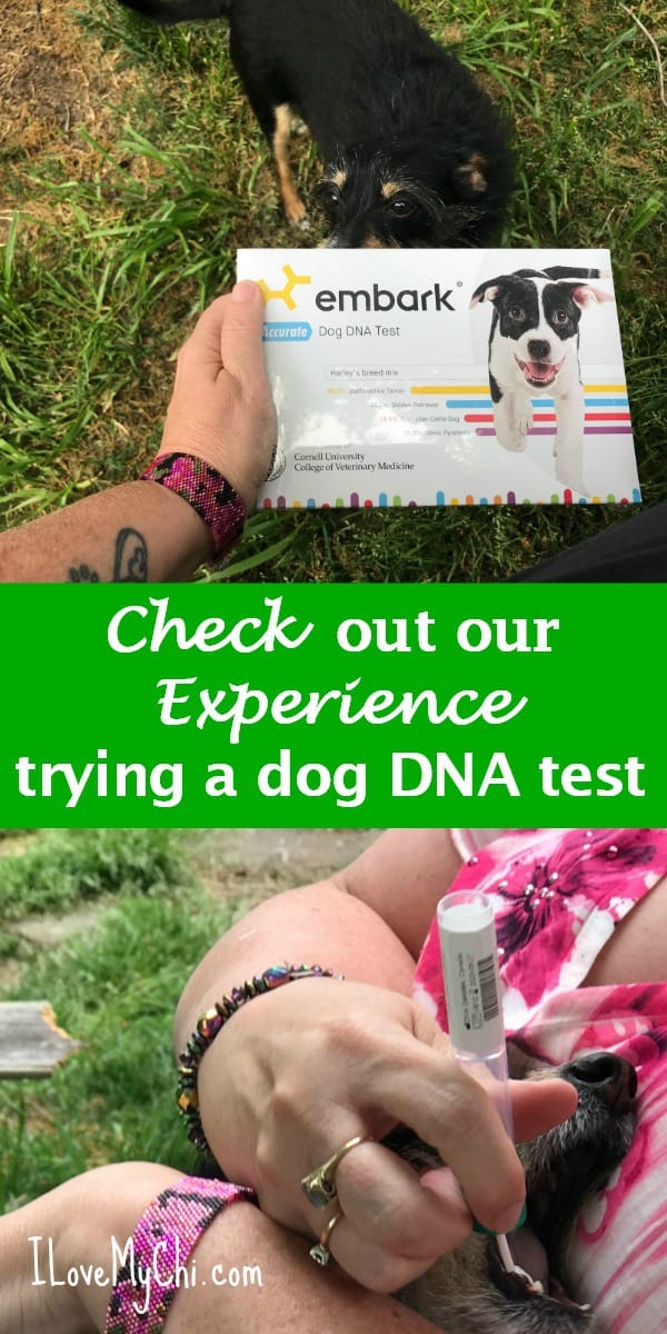 Check out our experience trying an Embark DNA test.
