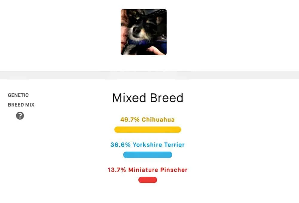 Embark results