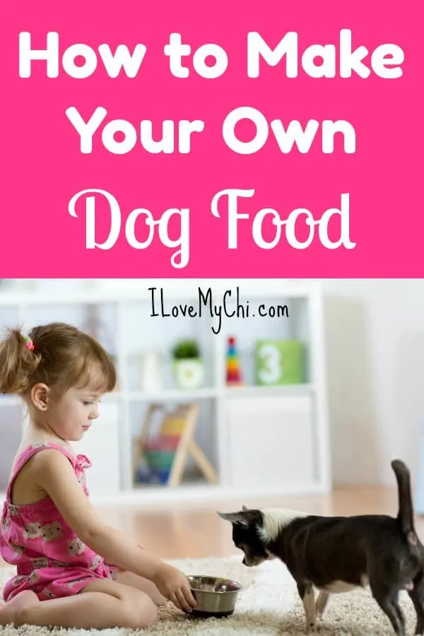 How to Make Your Own Dog Food I Love My Chi