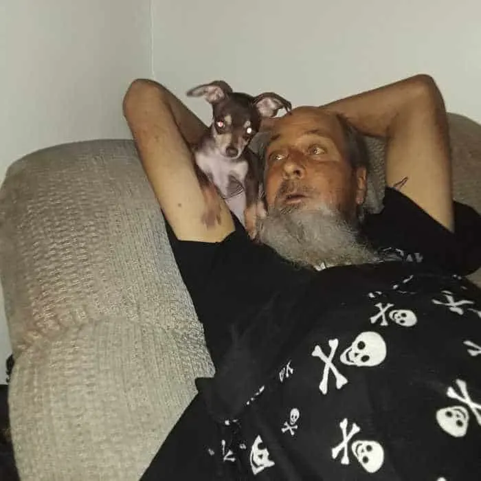 chihuahua and man