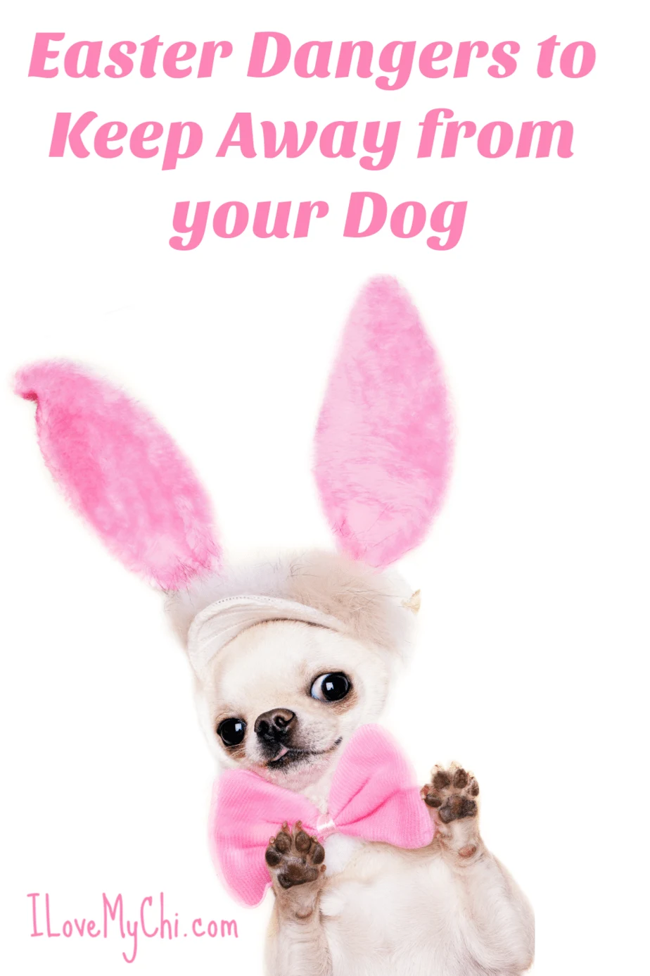 what do you get a dog for easter