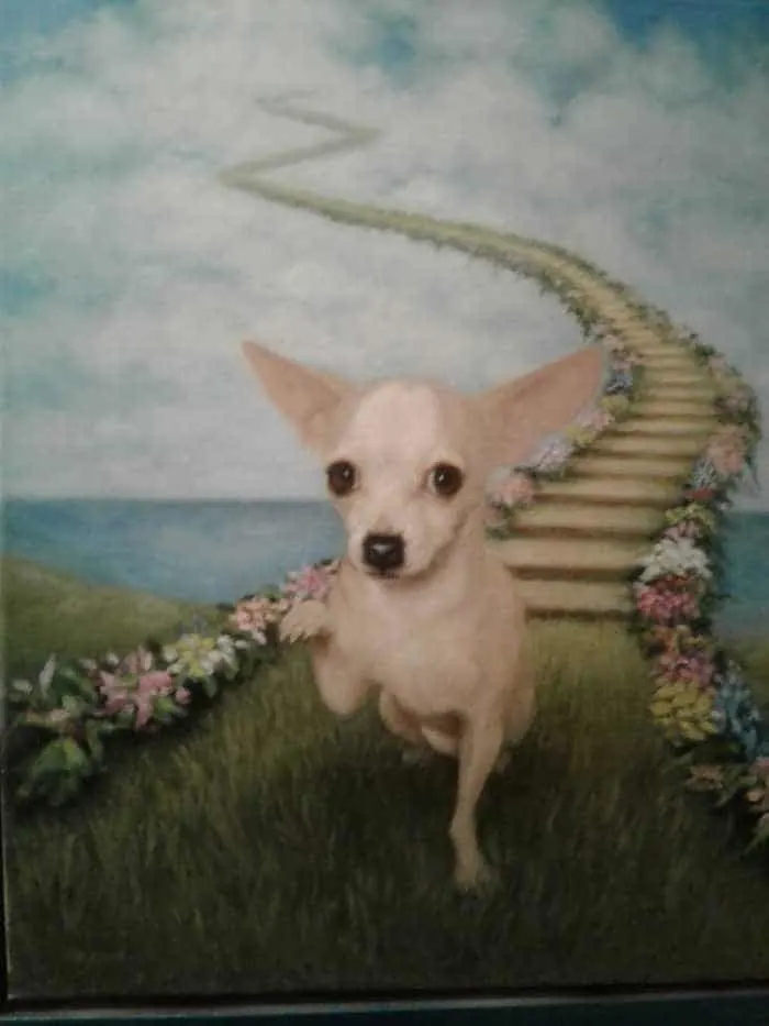 painting of chihuahua at bridge