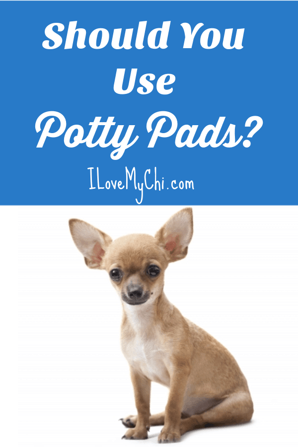 should you use puppy pads