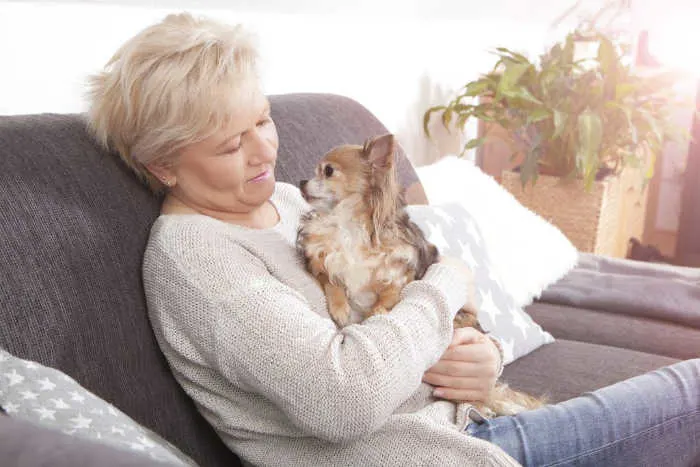 Older woman holding chihuahua.