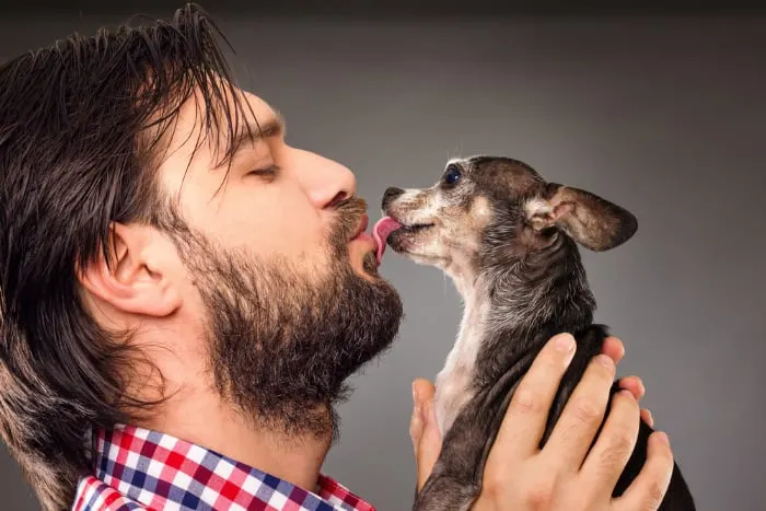 man kissing a chihuahua