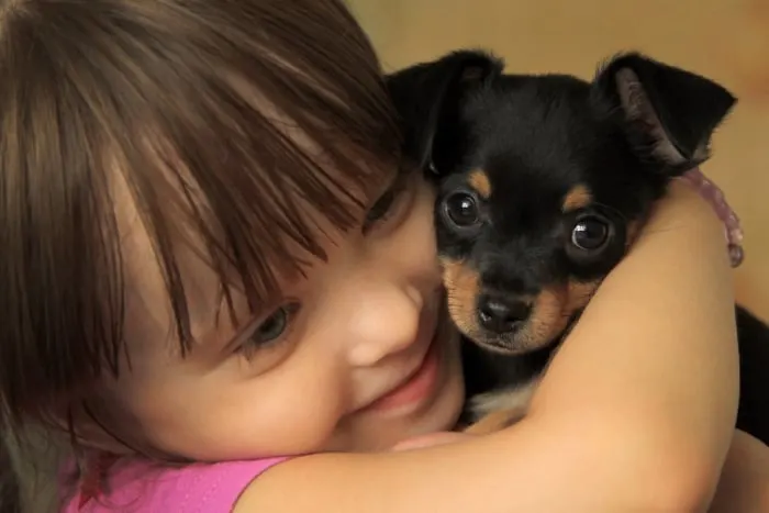 a small girl hugging a chihuahua puppy