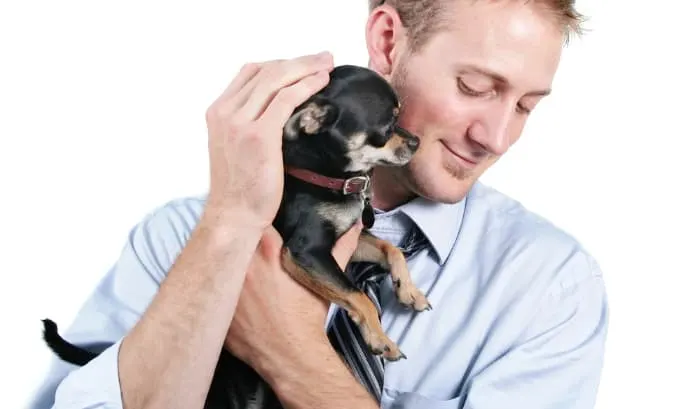 man cuddling a chihuahua