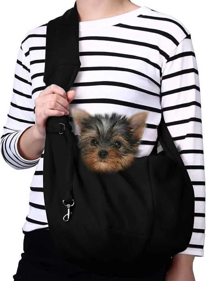 a yorkie dog in a pet sling