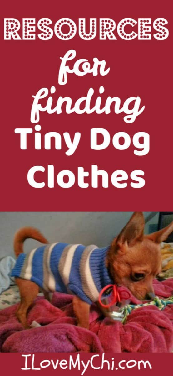 tiny dog clothes