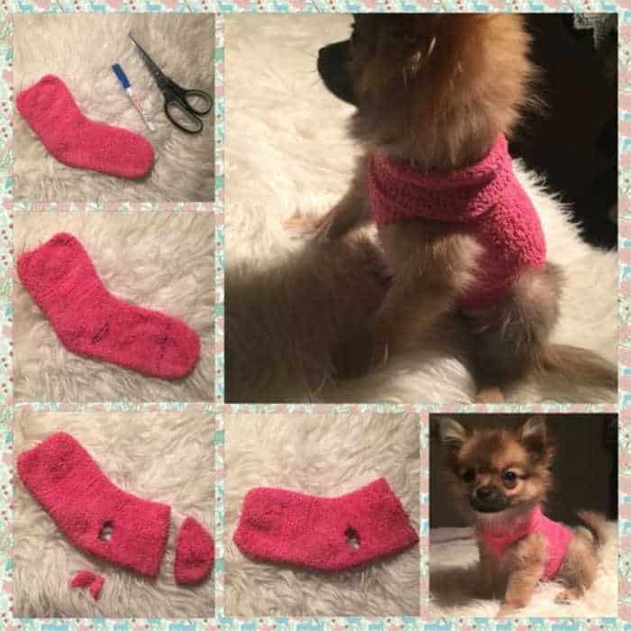 photo tutorial of how to make a dog sweater from a sock
