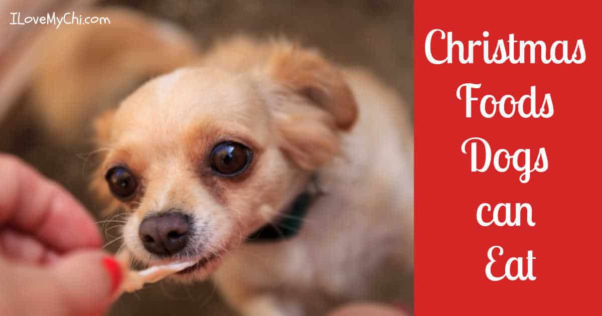 https://ilovemychi.com/wp-content/uploads/2019/12/Christmas-Foods-Dogs-can-Eat-fb.jpg