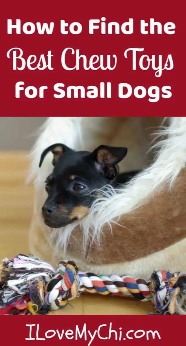 Best chew toys for small outlet dogs