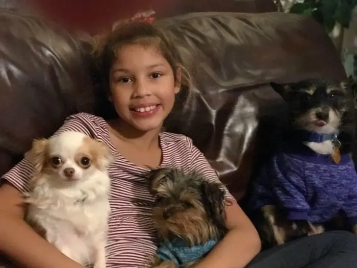 little girl with 3 small dogs