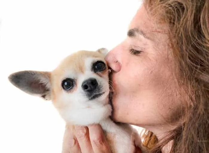 woman kissing a chihuahua dog