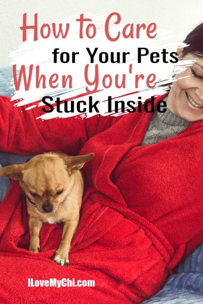woman in red robe holding a fawn chihuahua on couch