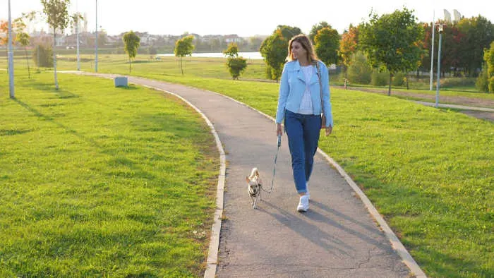 lady walking a dog in park 