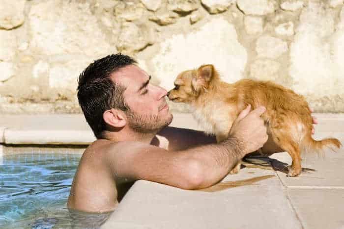 man in pool kissing a chihuahua dog