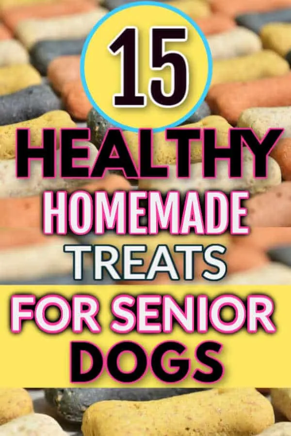 Cooking for 2024 senior dogs