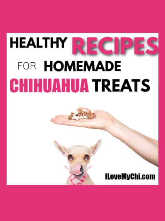 Healthy Recipes for Homemade Chihuahua Treats I Love My Chi