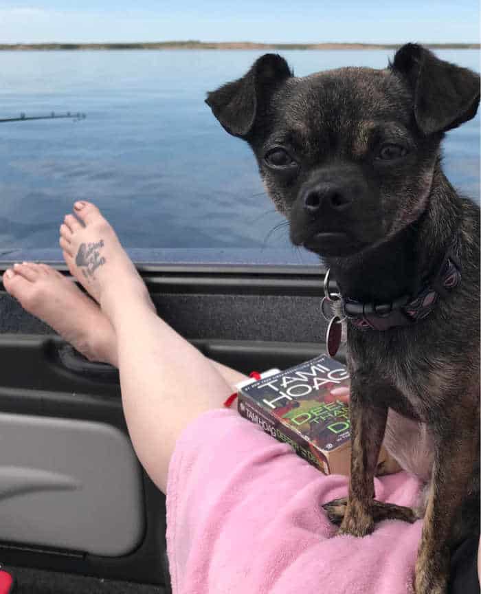 dark chihuahua on boat in water standing on woman's legs
