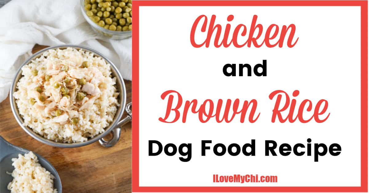 Chicken and Brown Rice Dog Food Recipe - I Love My Chi
